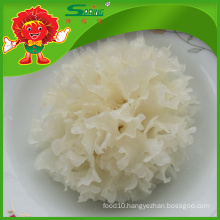 Chinese Supplier of mushrooms dried snow white fungus